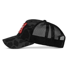 Load image into Gallery viewer, Rowdy Beer Logo Patch Snapback Hat