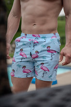 Load image into Gallery viewer, Swim Trunks - Flamingo Team Six