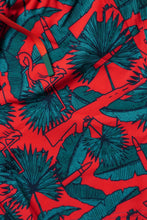 Load image into Gallery viewer, Swim Trunks - AK Tropical