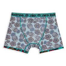Load image into Gallery viewer, Boxer Briefs Adventure Collection | 1 pack