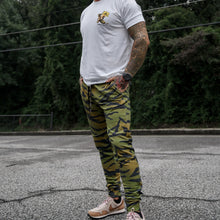 Load image into Gallery viewer, Men's Dynamic Performance Joggers 2.0