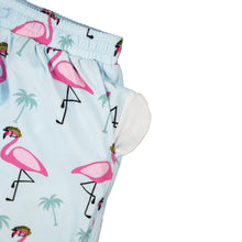 Load image into Gallery viewer, Swim Trunks - Flamingo Team Six