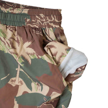 Load image into Gallery viewer, Swim Trunks - Brushstroke
